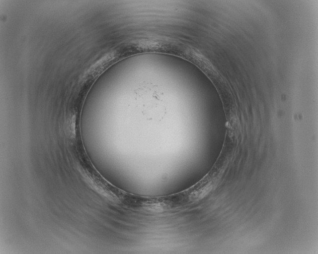 X0000075410454200609291710