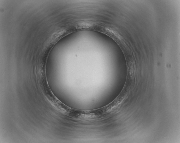 X0000075410455200609291710