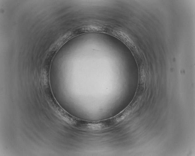 X0000075410457200609291710