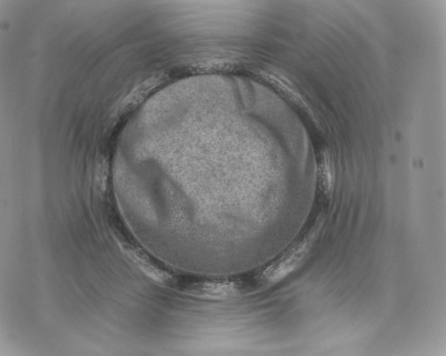 X0000075410458200609291710