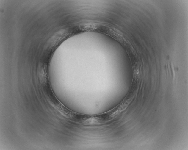 X0000075410460200609291710