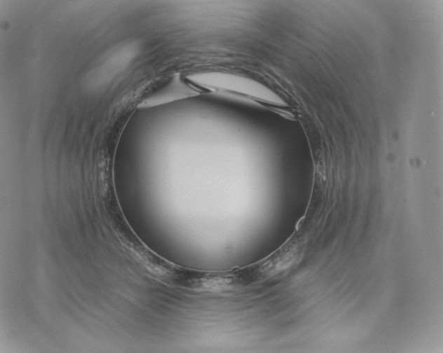 X0000075410462200609291710