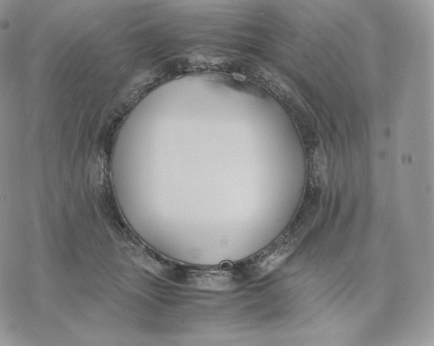 X0000075410463200609291711