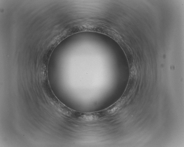 X0000075410464200609291711