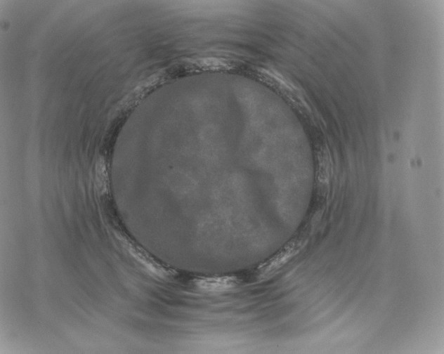 X0000075410465200609291711