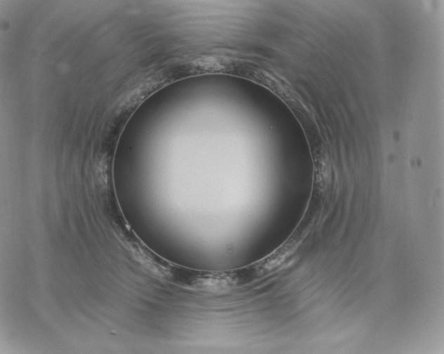 X0000075410466200609291711