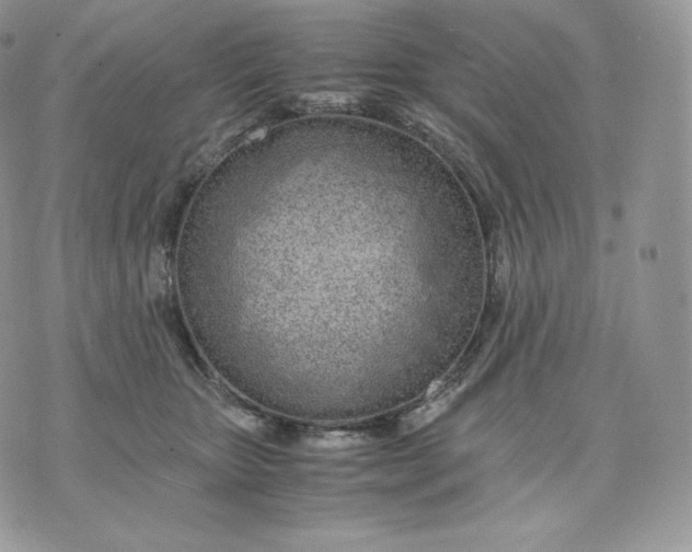 X0000075410467200609291711