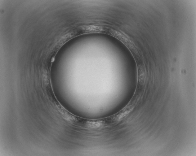 X0000075410469200609291711