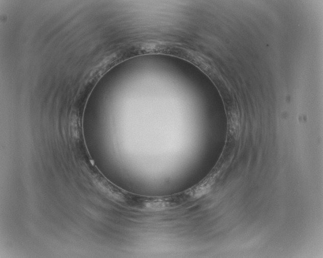 X0000075410470200609291711