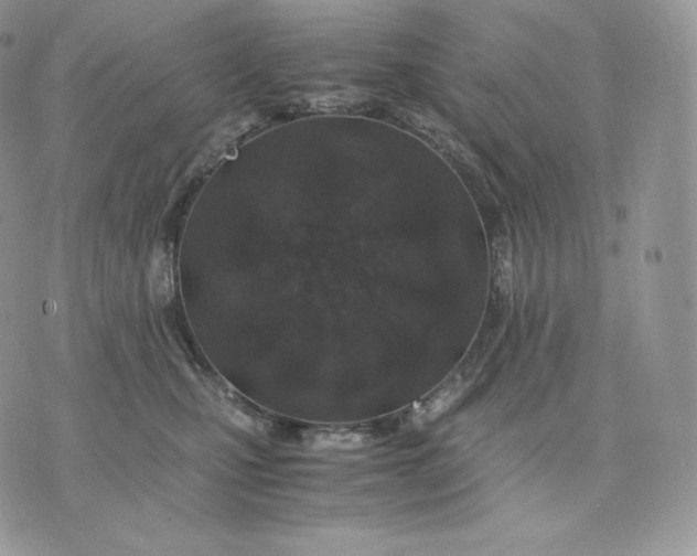 X0000075410471200609291711