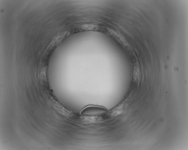 X0000075410473200609291711