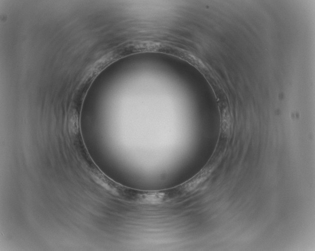 X0000075410474200609291711