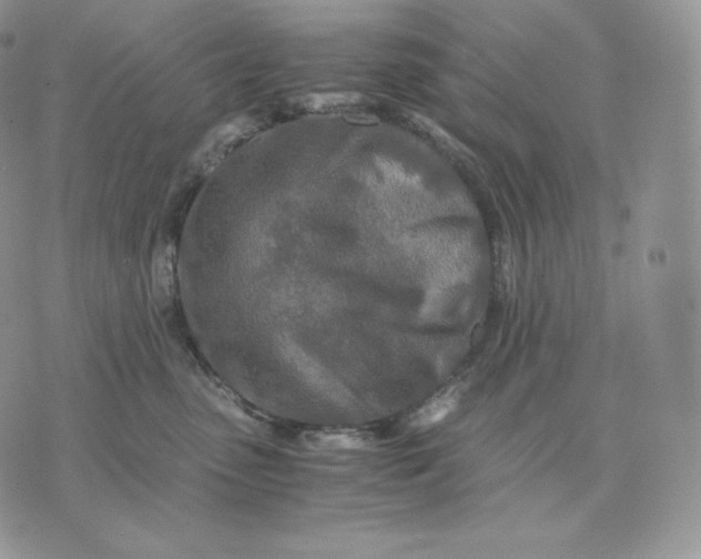 X0000075410475200609291711