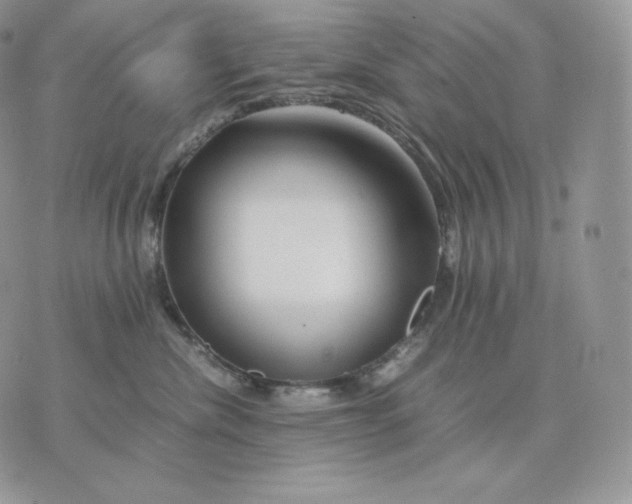 X0000075410476200609291711