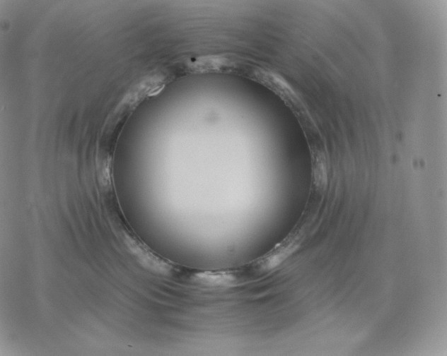 X0000075410477200609291711