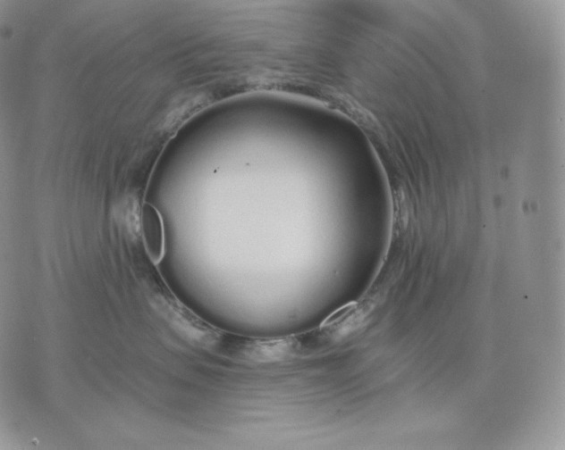 X0000075410479200609291711