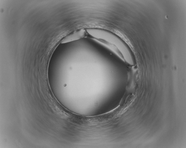 X0000075410481200609291710