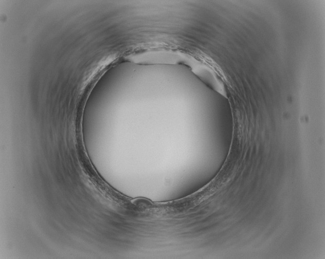 X0000075410482200609291710