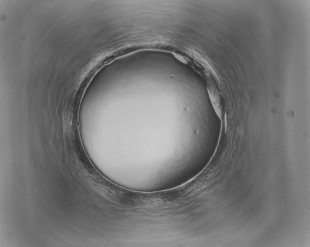 X0000075410483200609291710