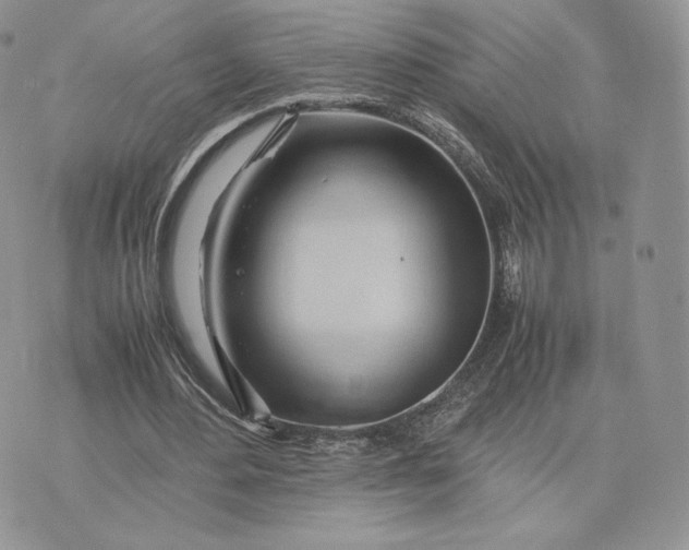 X0000075410484200609291710