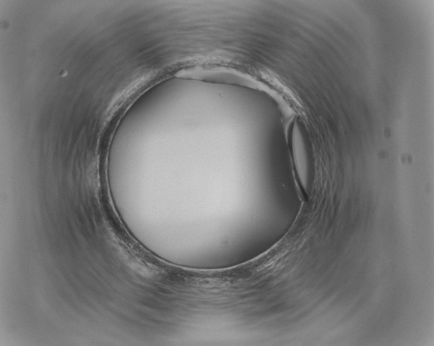 X0000075410486200609291710