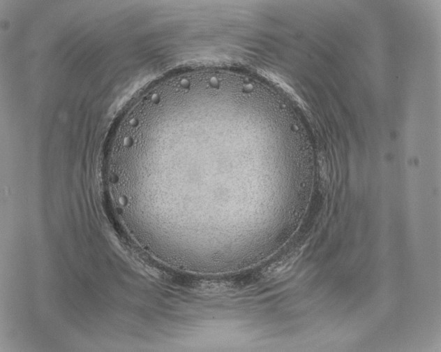 X0000075410487200609291710