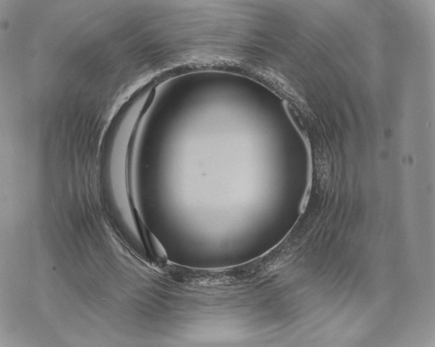 X0000075410488200609291710