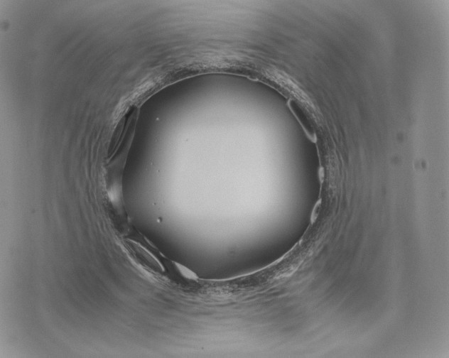 X0000075410489200609291710