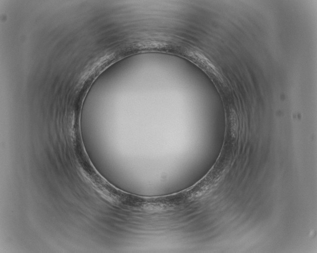 X0000075410490200609291710