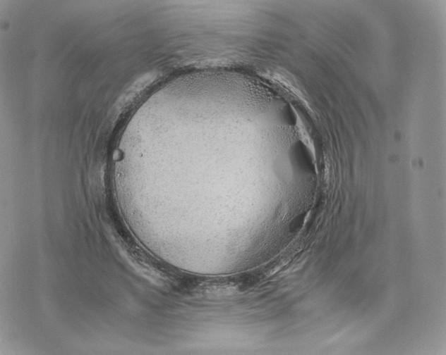 X0000075410491200609291710