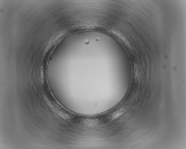 X0000075410494200609291710