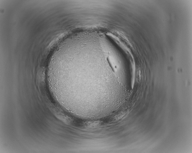 X0000075410495200609291710