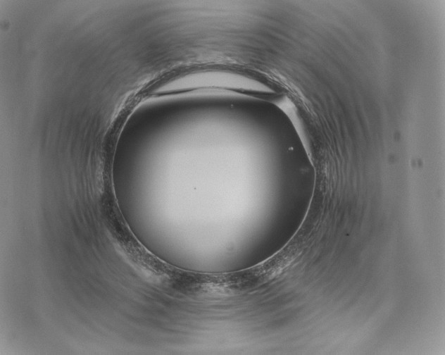 X0000075410496200609291710