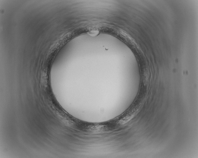 X0000075410497200609291710