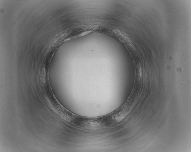 X0000075410498200609291710