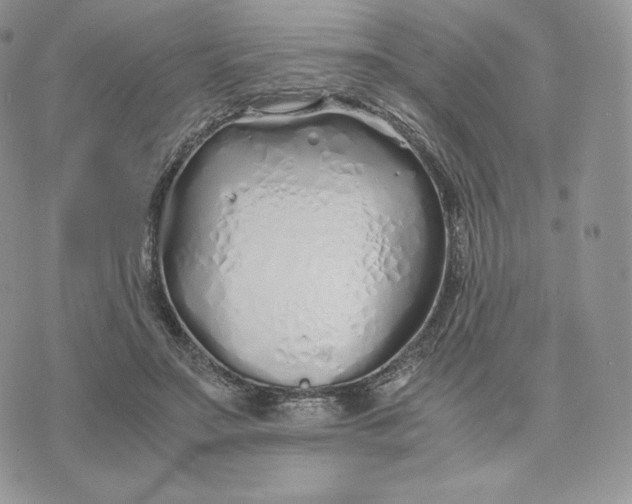 X0000075410499200609291710