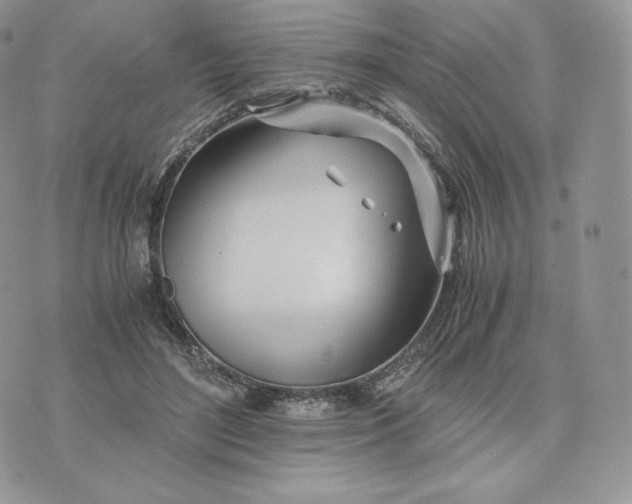 X0000075410500200609291710