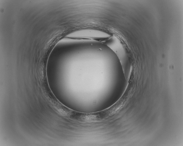 X0000075410501200609291710