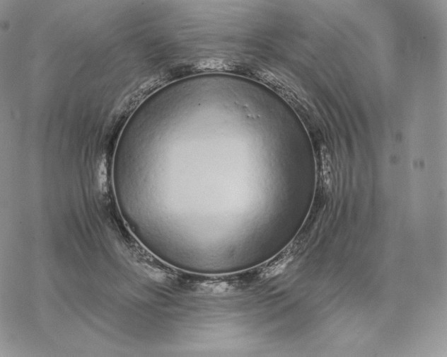 X0000075410502200609291710