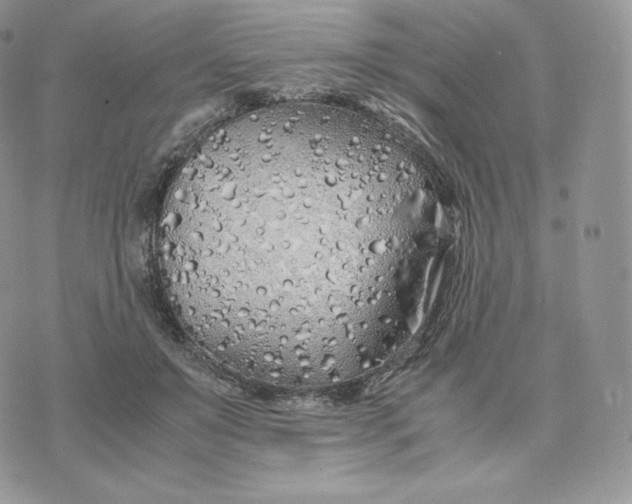 X0000075410503200609291710