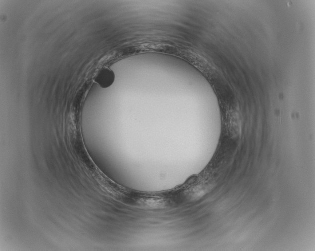 X0000075410506200609291710