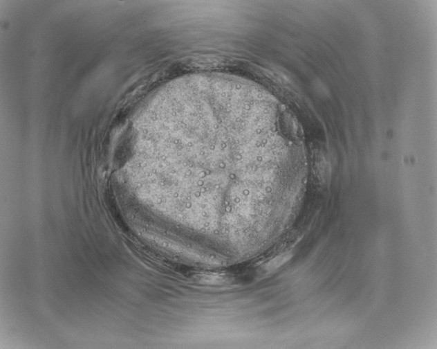 X0000075410507200609291710