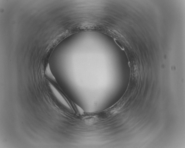 X0000075410508200609291710