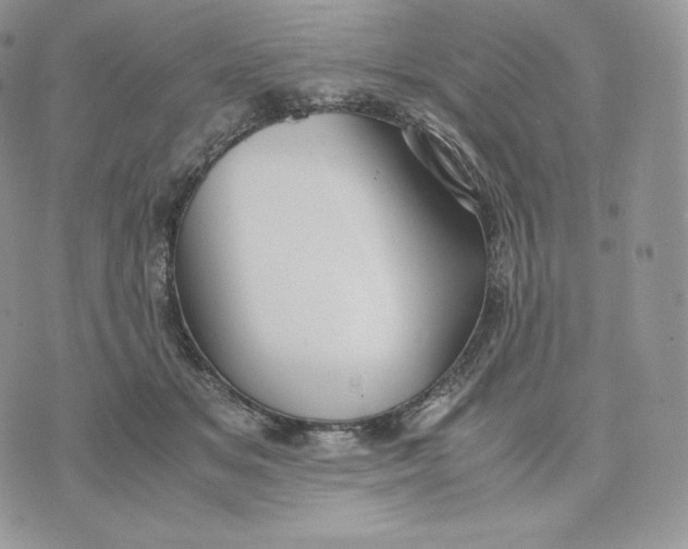 X0000075410509200609291710