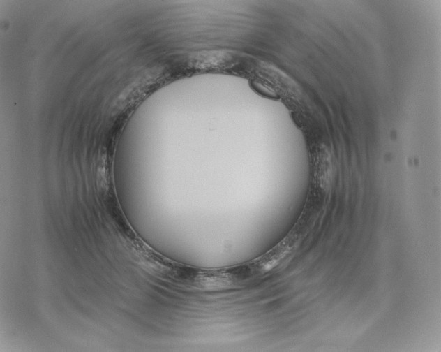 X0000075410510200609291710