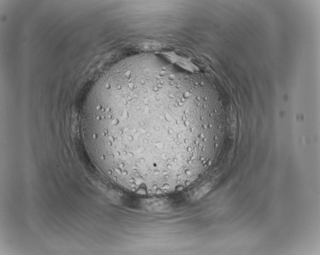 X0000075410511200609291710