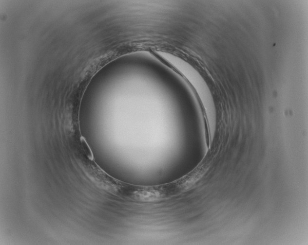 X0000075410512200609291709