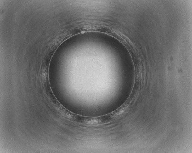 X0000075410513200609291709