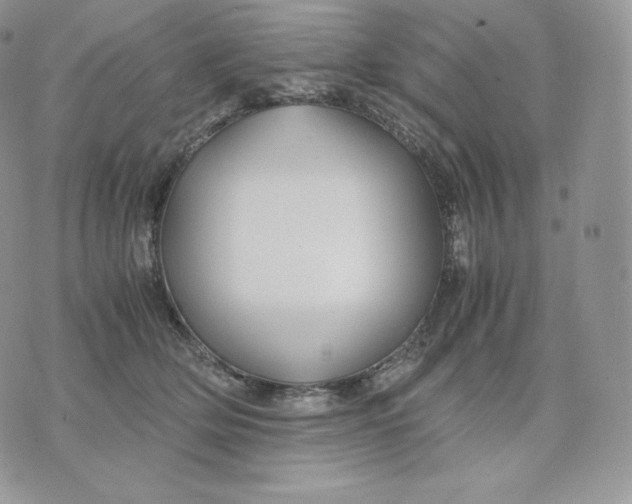 X0000075410514200609291709