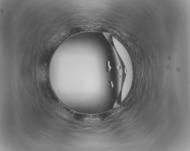 X0000075410515200609291709